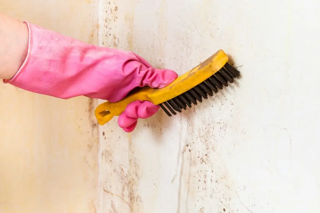 cleaning of room wall from mold with brush