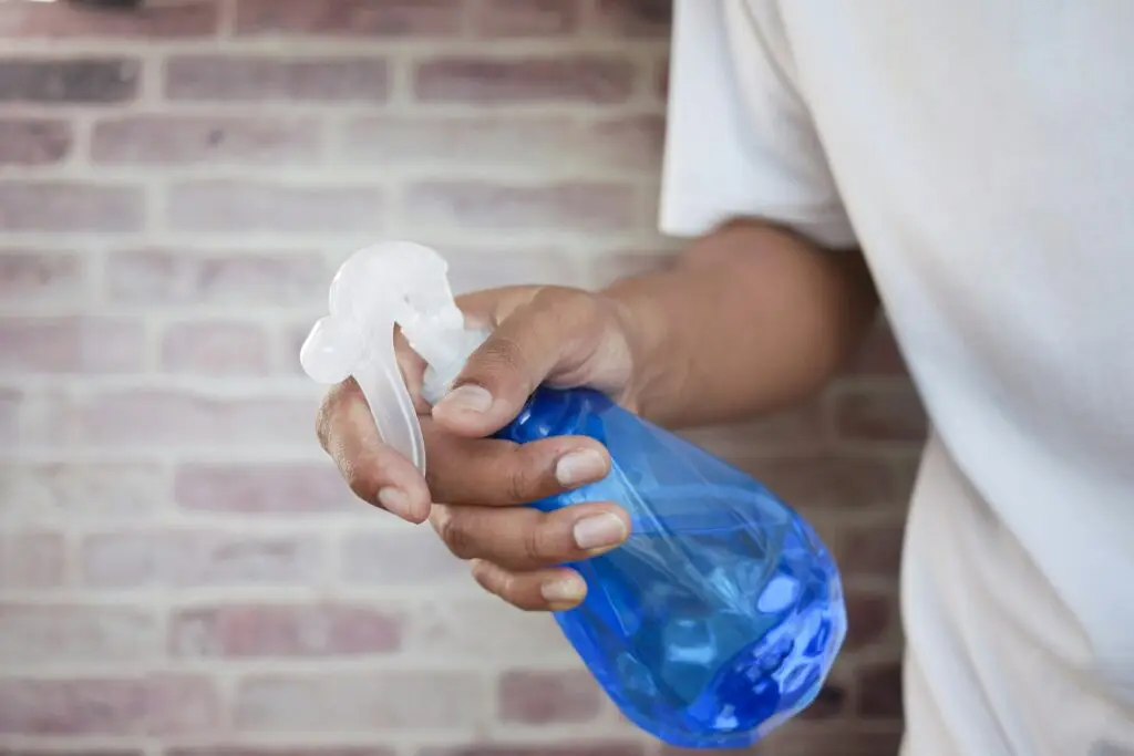 10 Essential Tips For A Stress-Free Move-Out Clean In Perth 1 photo 1623947371527 db5fc62e08c7