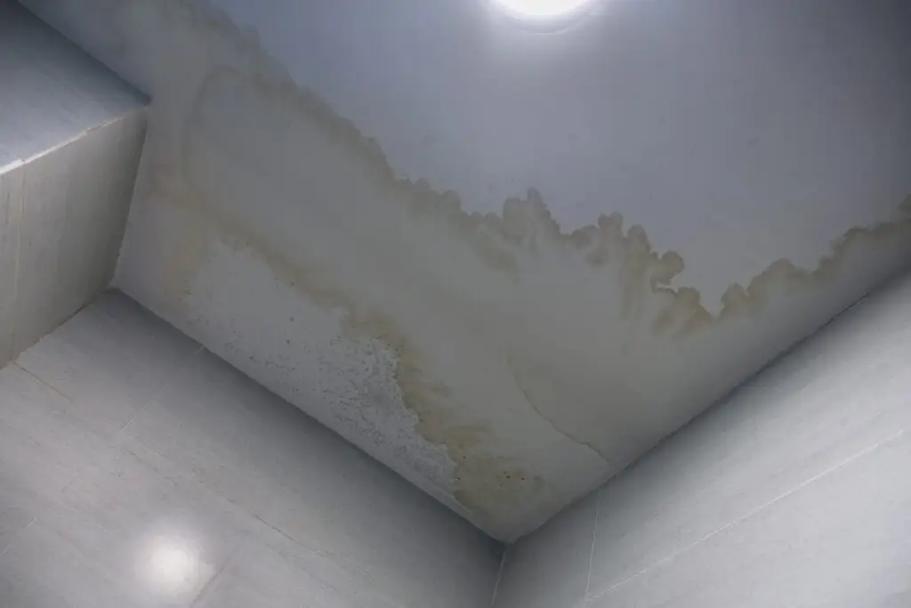 Interior view of a bathroom ceiling with a large brown water stain at its center and multiple irregular dark mold spots—green, black, and brown—spreading across the white plaster surface.