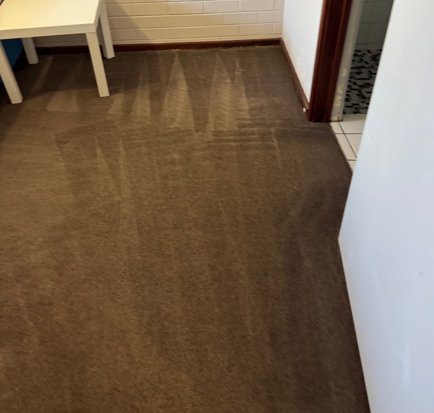 Carpet condition after professional cleaning in Perth