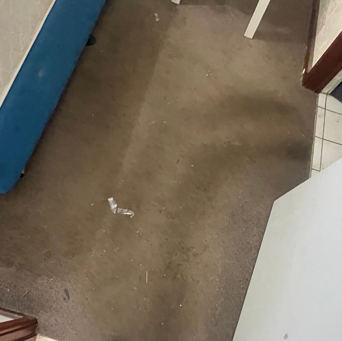 Carpet condition before professional cleaning in Perth